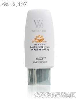 ˬ׷˪SPF25PA++65g